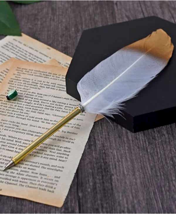 Feather Gold Pen